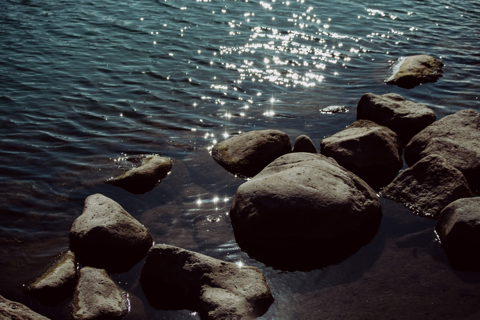 foodeez-default-slider-image