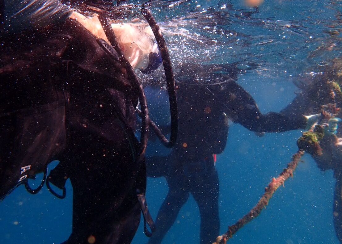 foodeez-default-slider-image